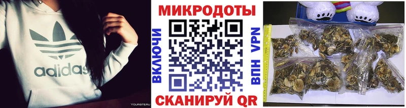 OMG ссылки Тарко-Сале Псилоцибиновые грибы Cubensis закладка